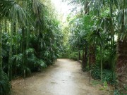 P1070007