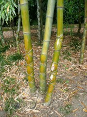 P1070010