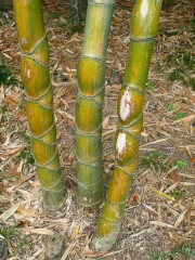 P1070011