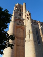 ALBI-3