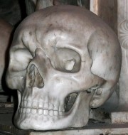 194