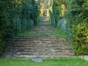 LE-RAYOL-31